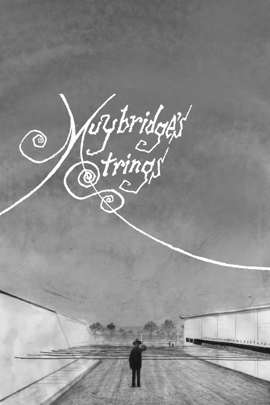 Muybridge's Strings