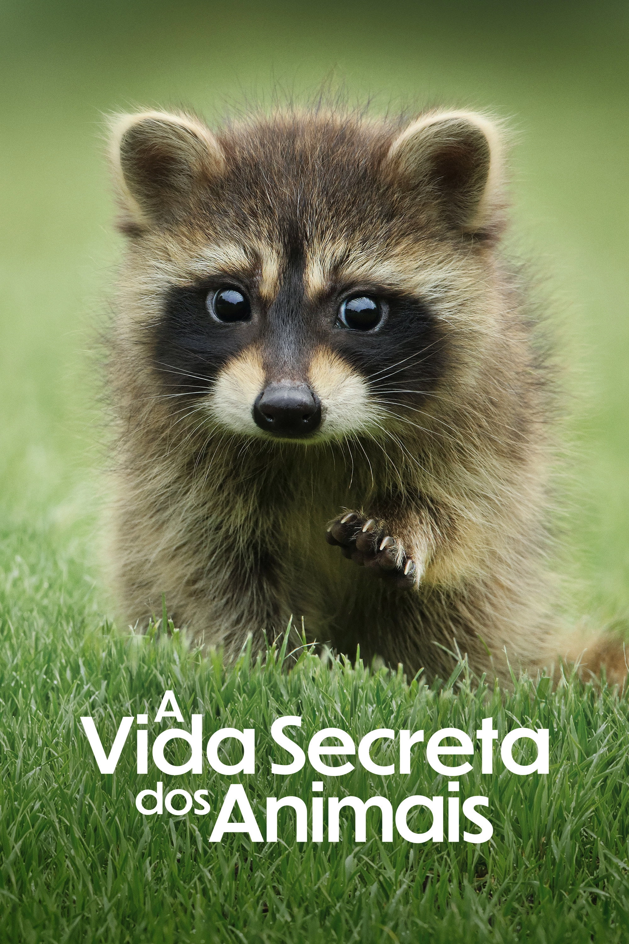 The Secret Lives of Animals