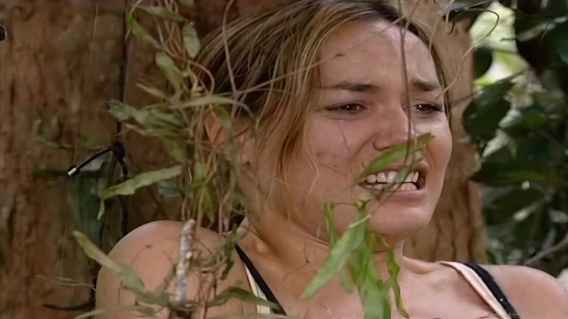 I'm a Celebrity...Get Me Out of Here!