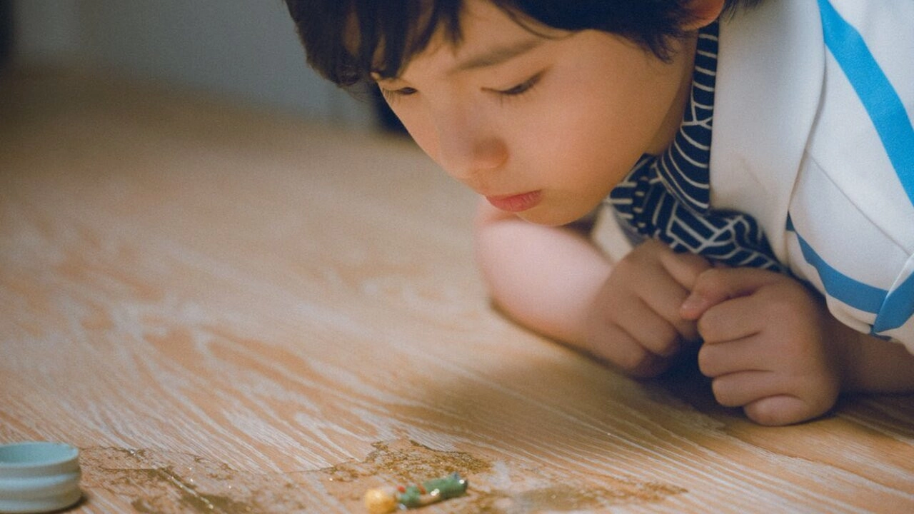 Sheep in the Box