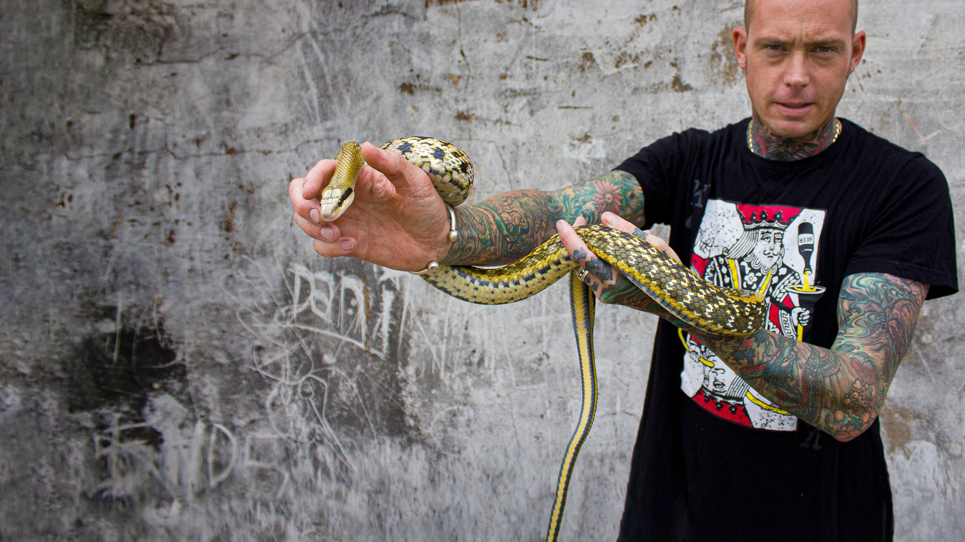 Snake City