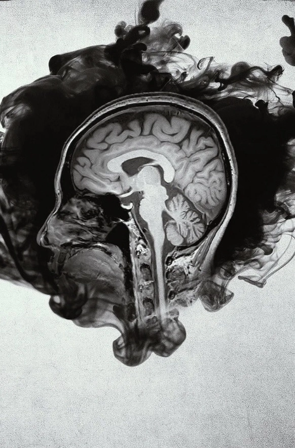 Inside the Criminal Mind