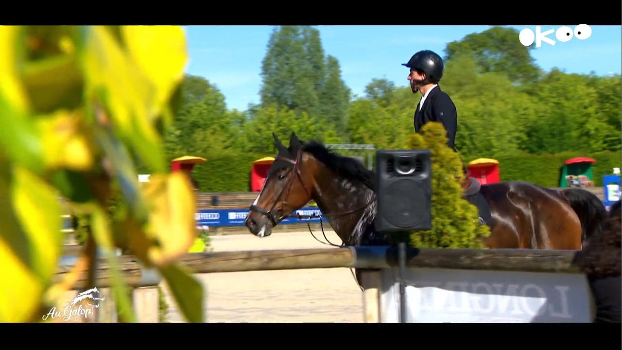 Au galop ! une saison à cheval