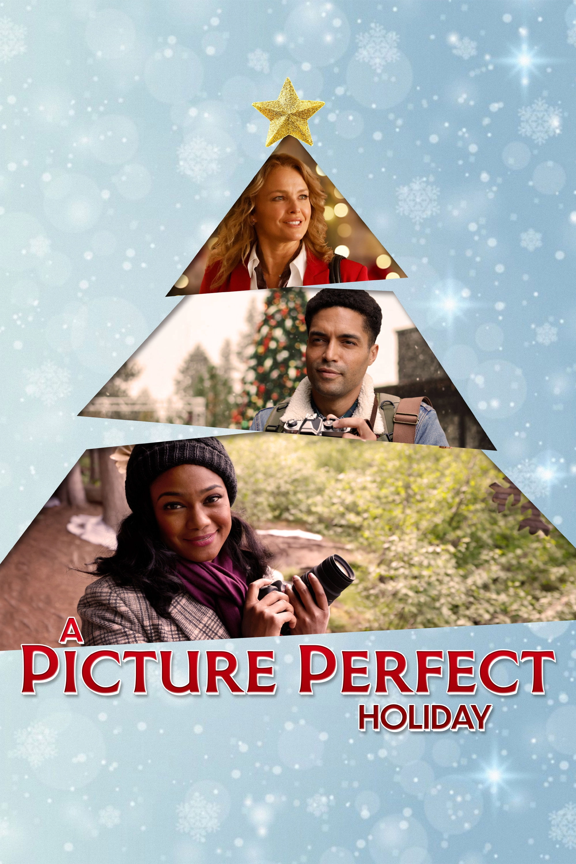 A Picture Perfect Holiday