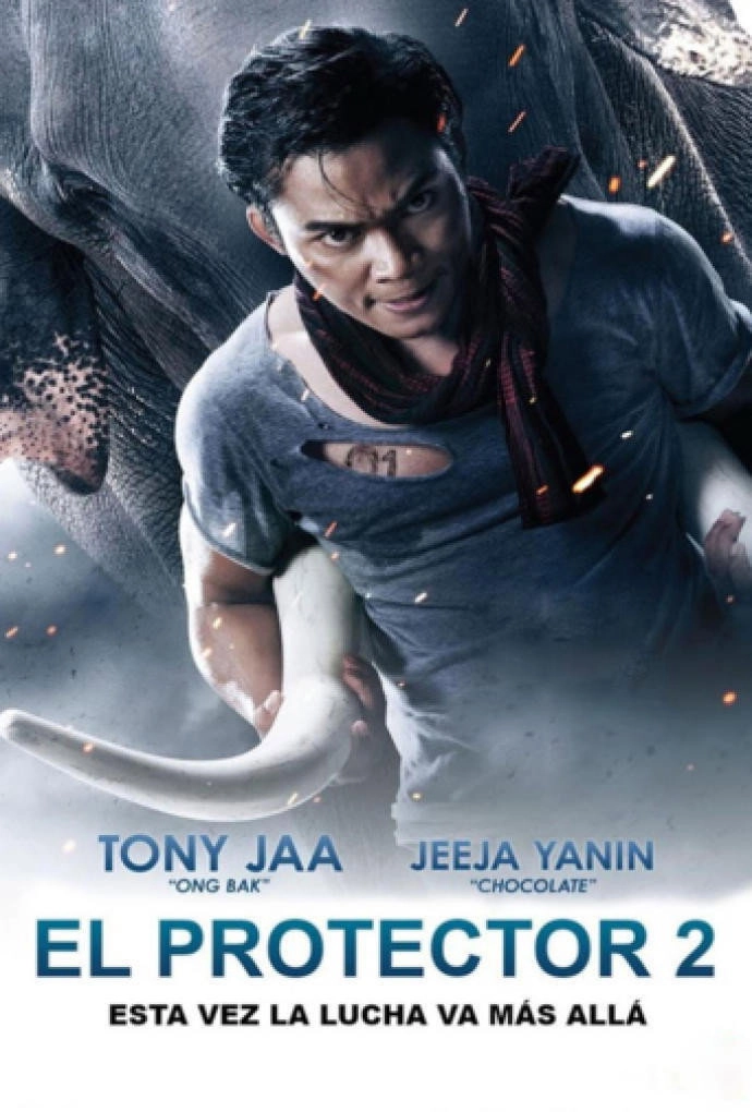 The Protector 2