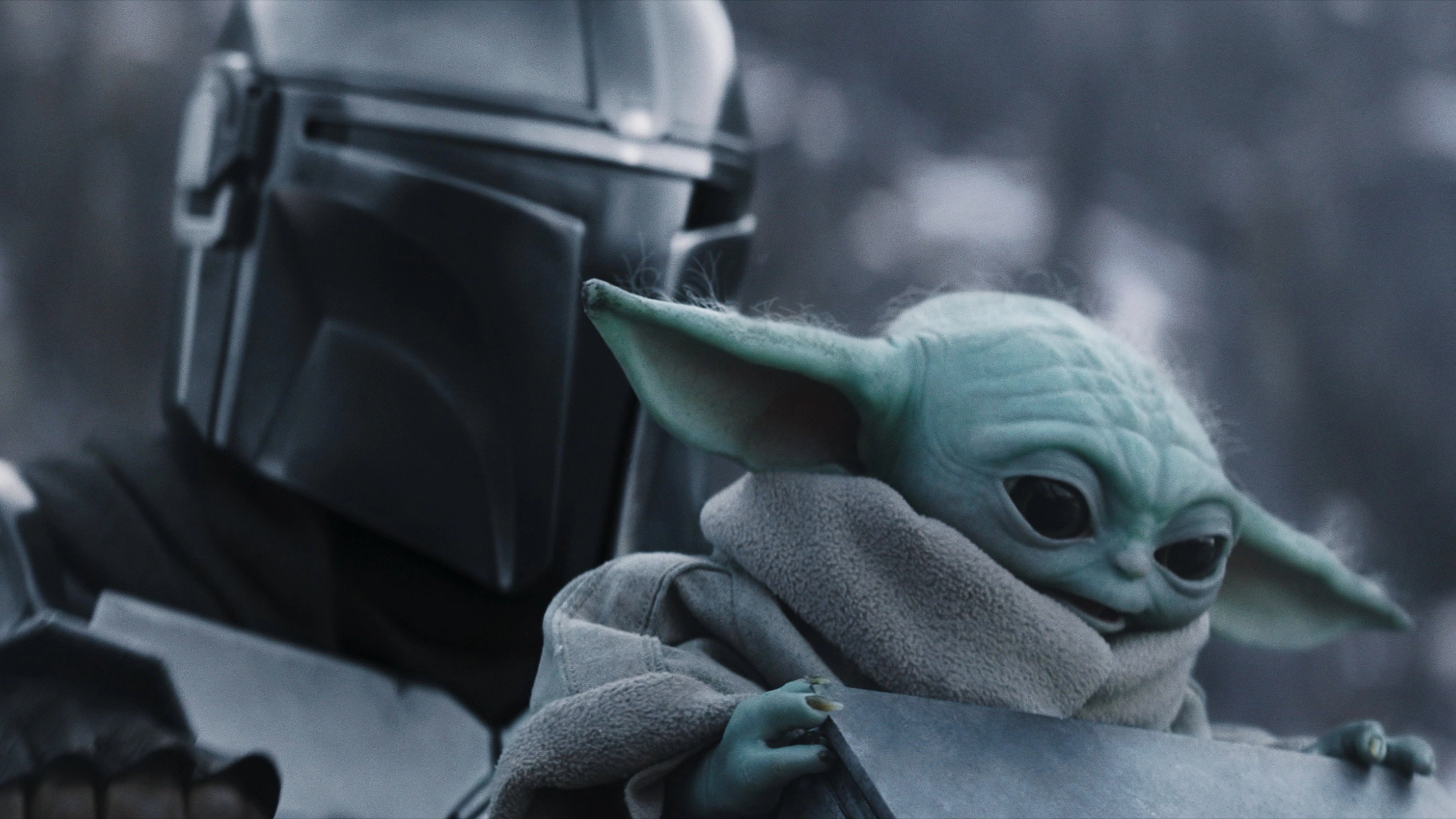 The Mandalorian and Grogu