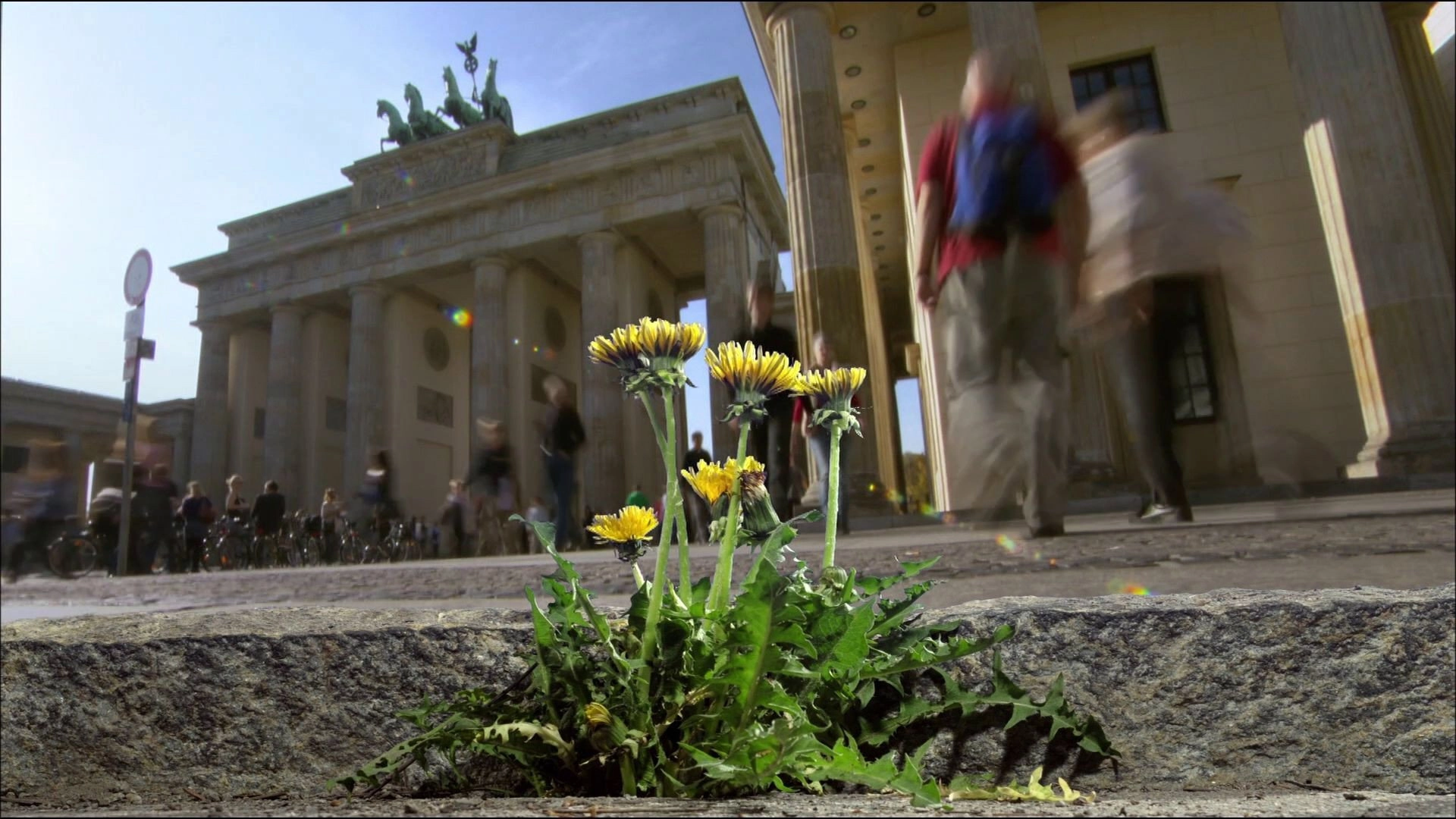 Wild Germany
