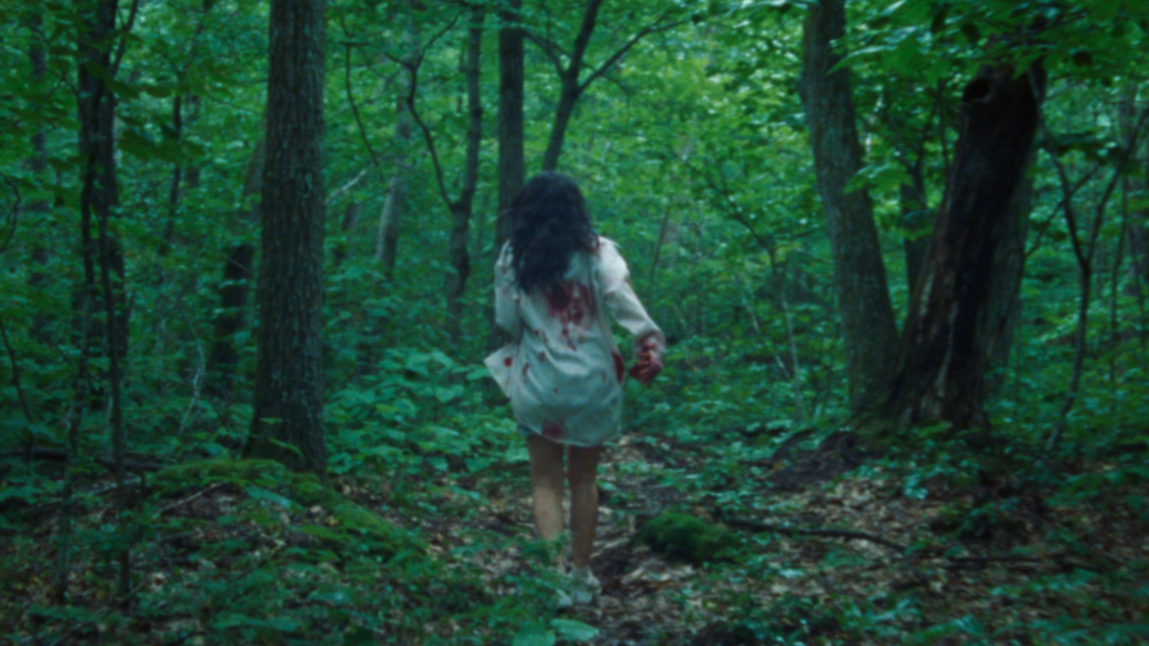 The Runner