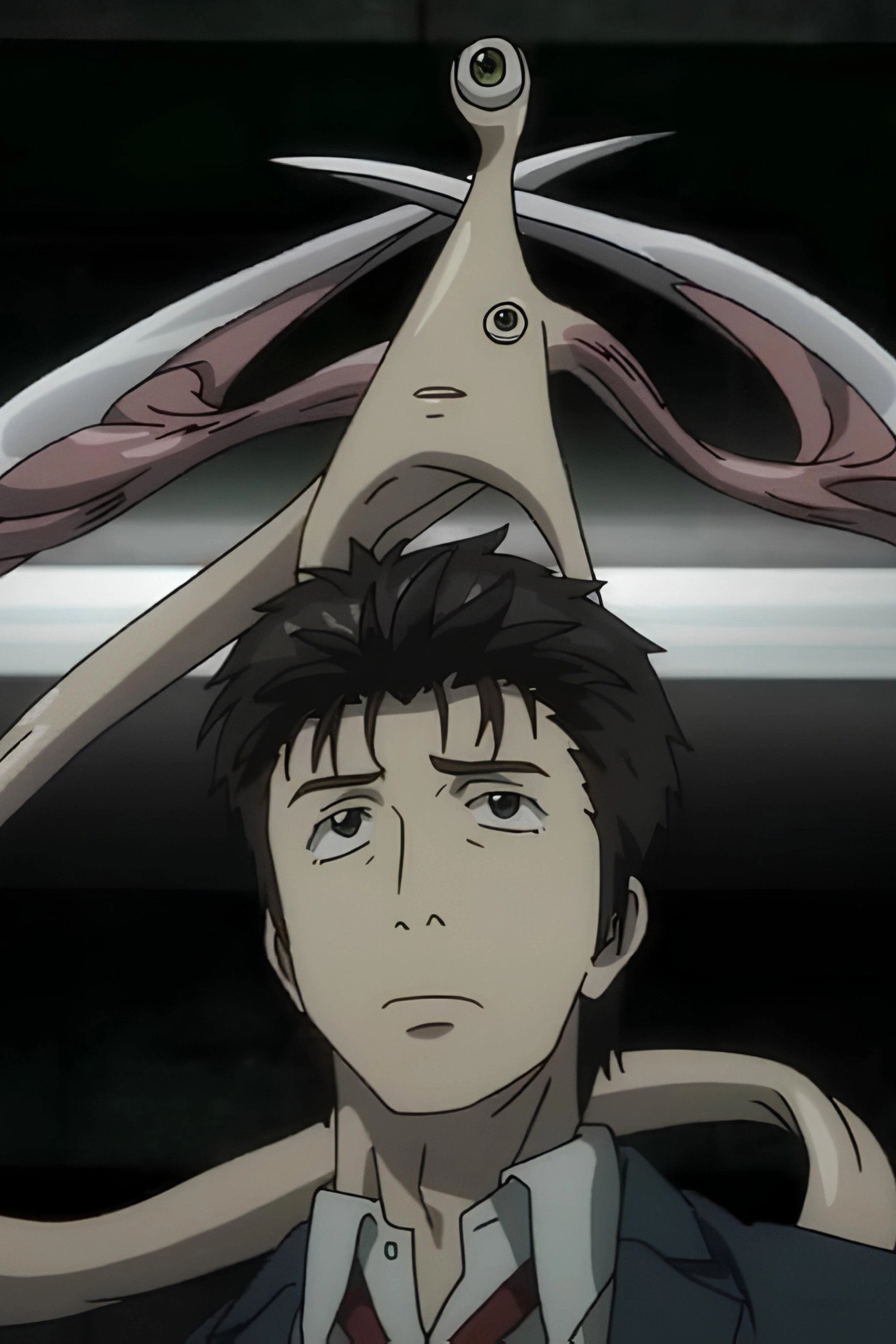 Parasyte -the maxim-