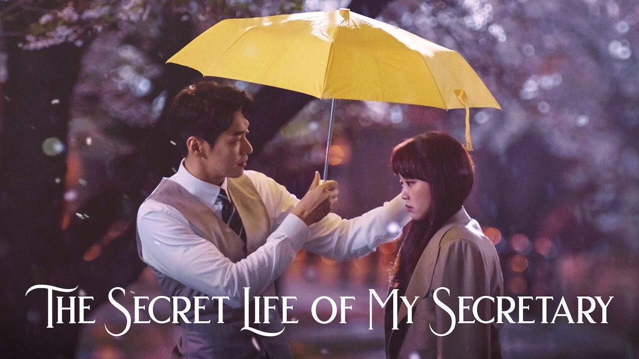 The Secret Life of My Secretary