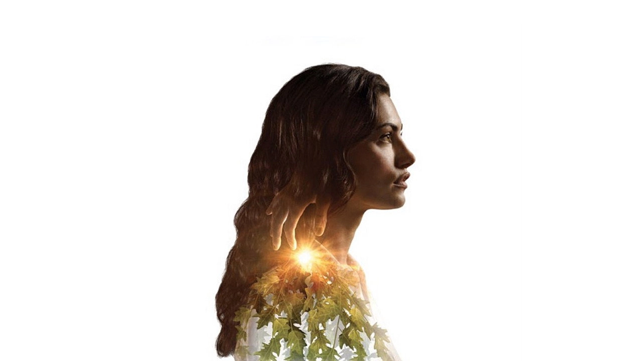 Bloom