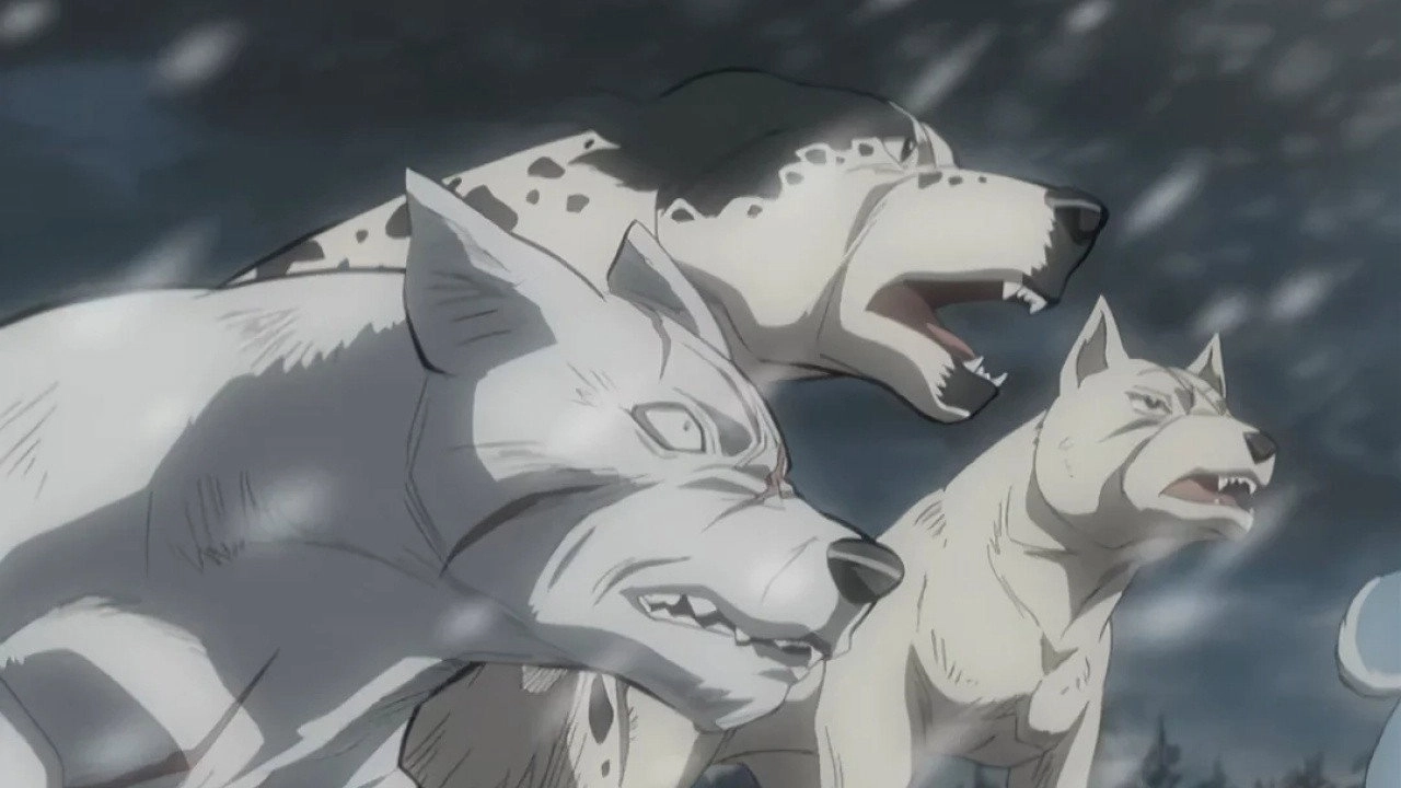 Silver Fang Legend Weed
