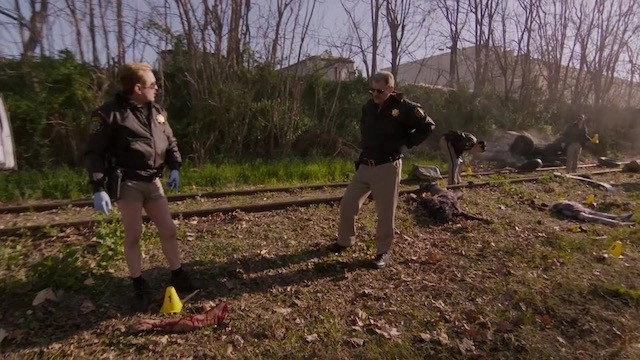 Reno 911!