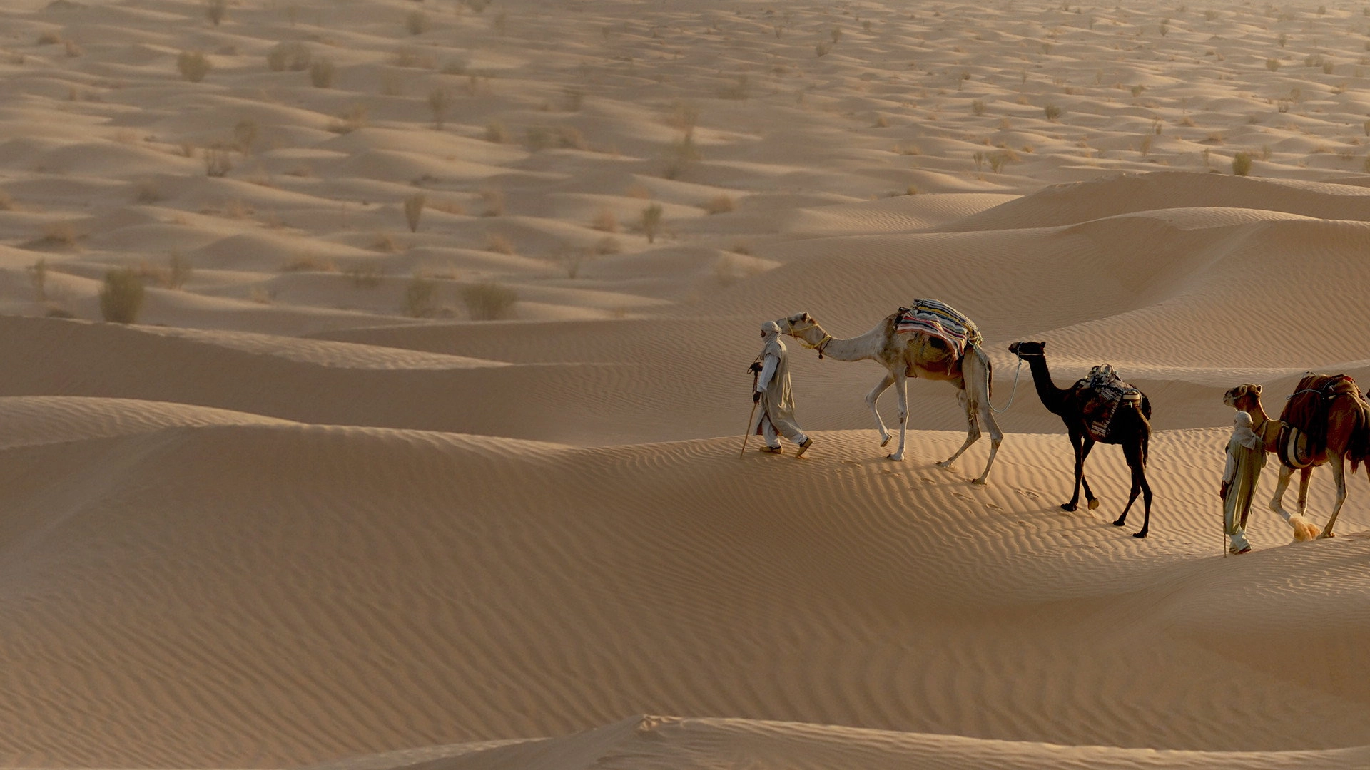 Africa's Hidden Wonders