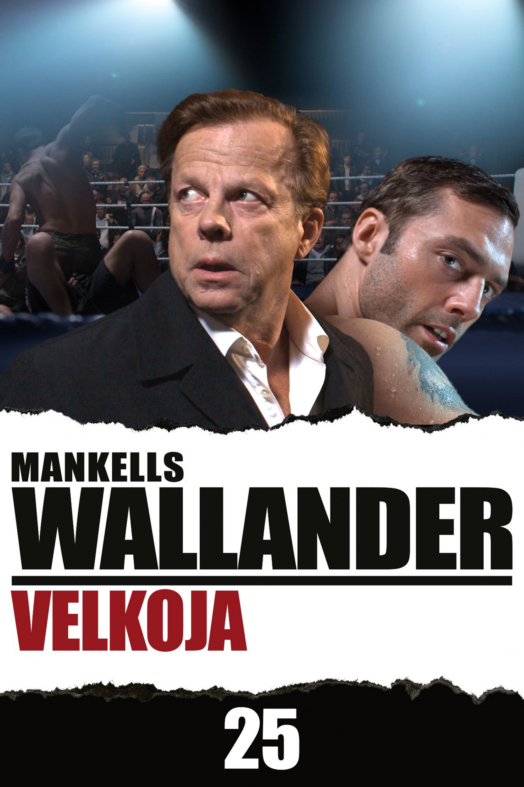 Wallander: The Collector