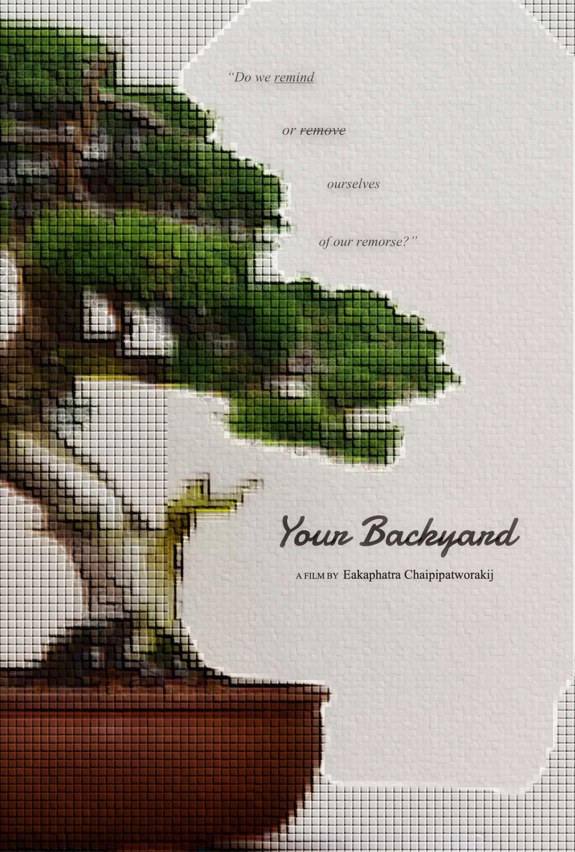 Your Backyard