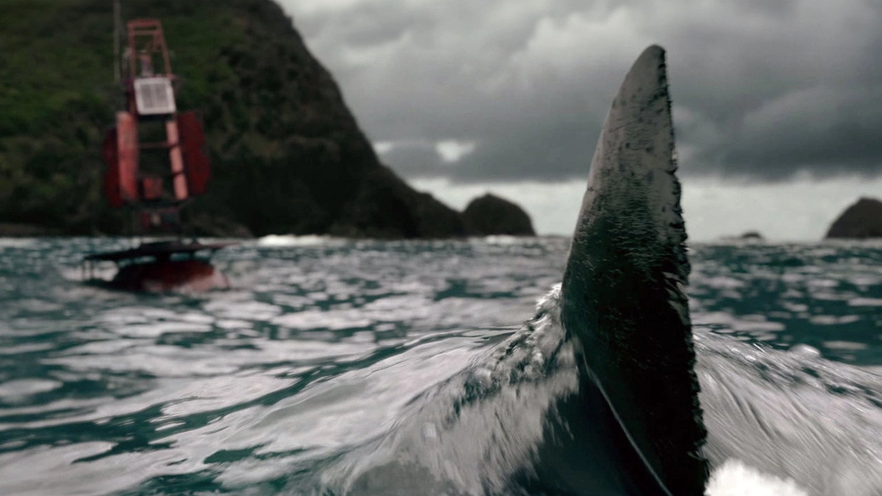 The Shallows