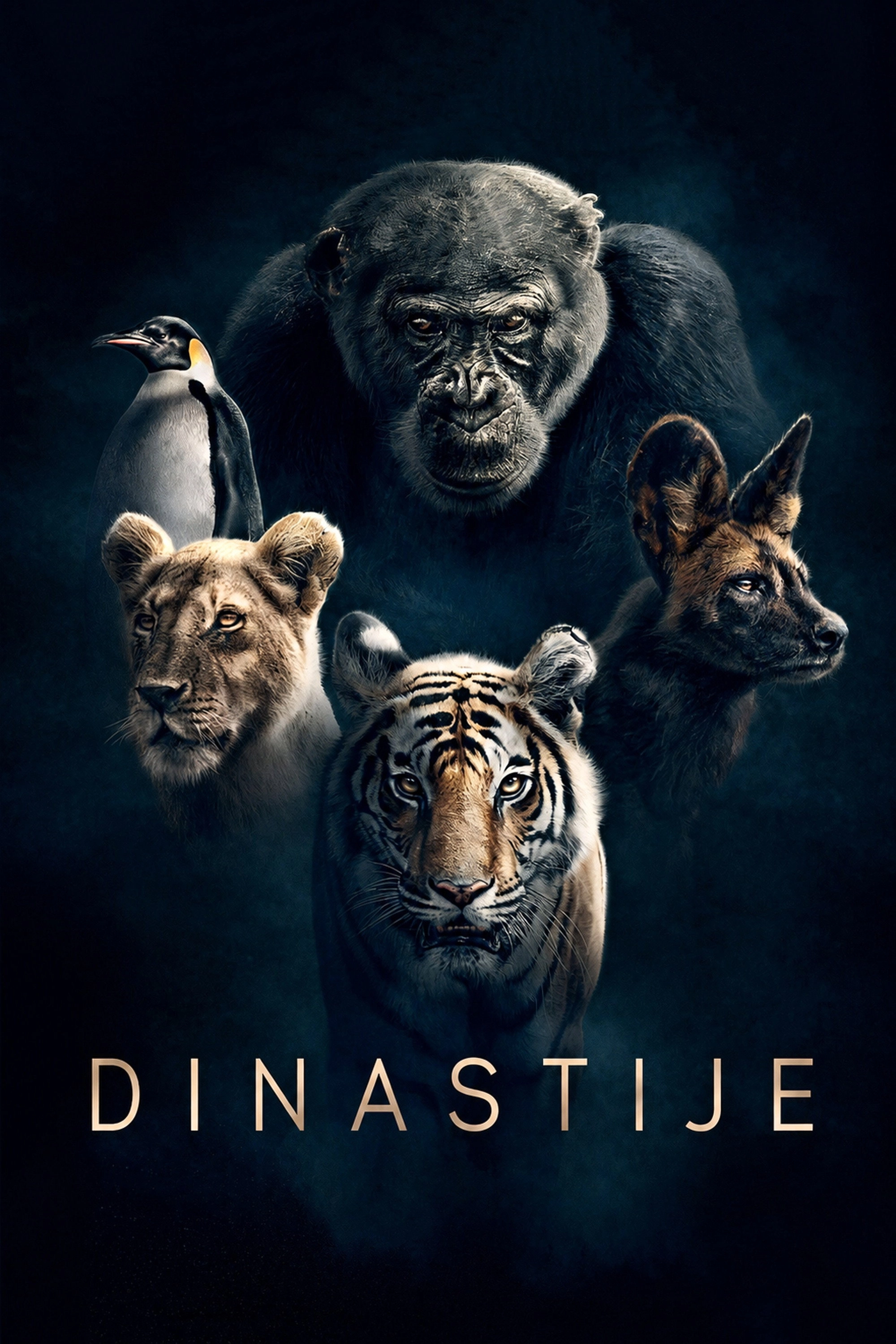 Dynasties