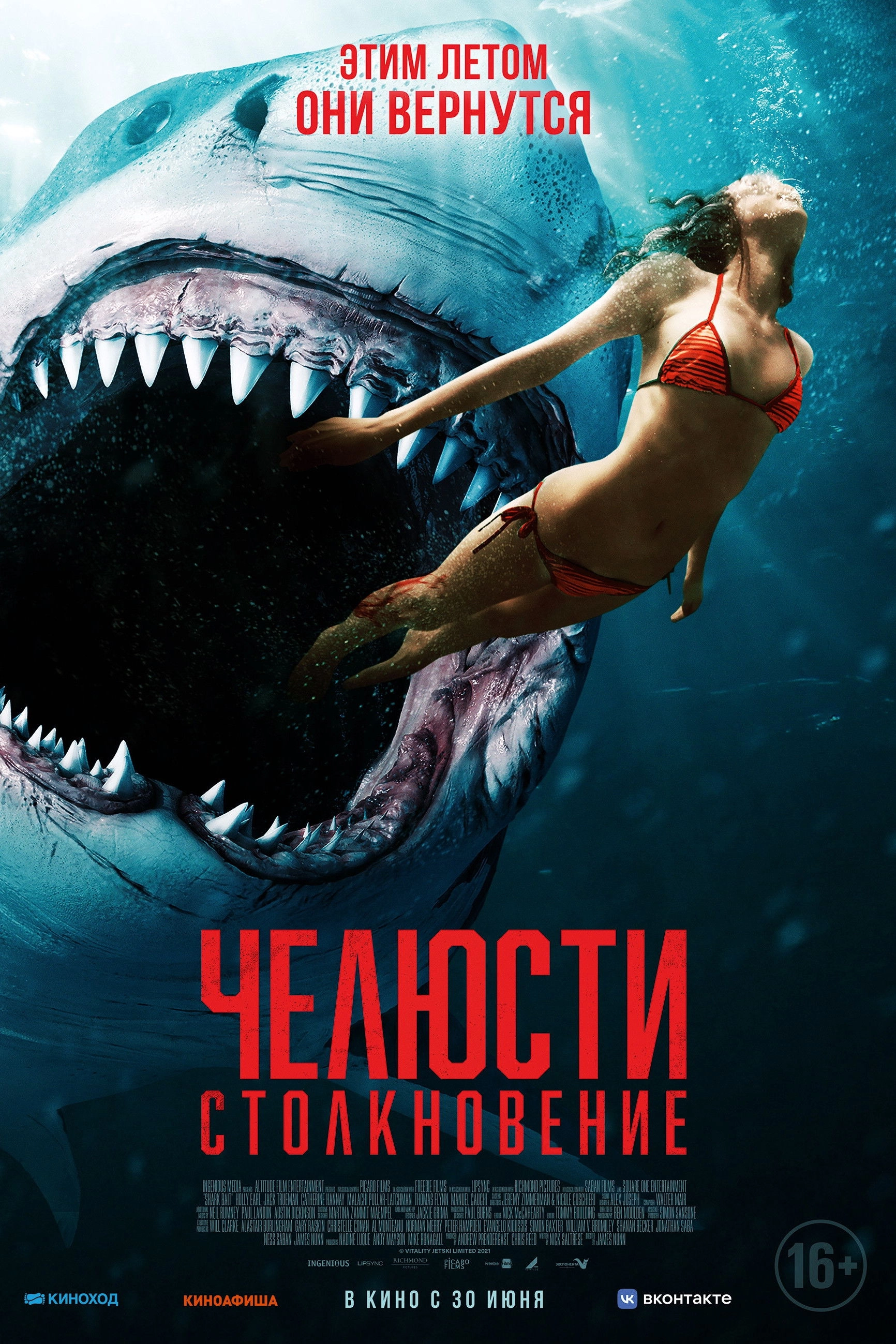 Shark Bait