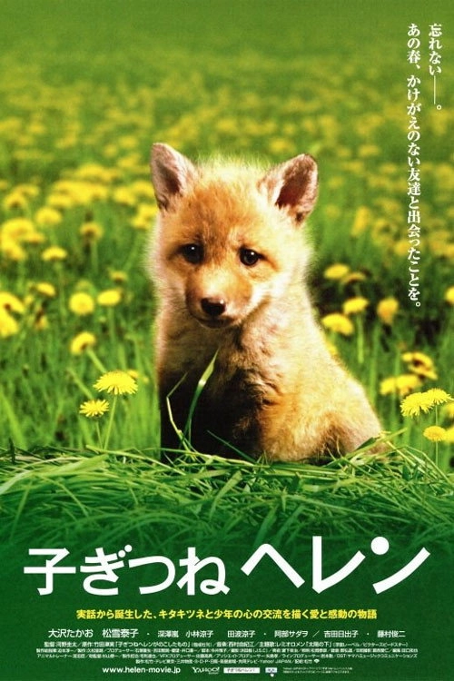 Helen the Baby Fox
