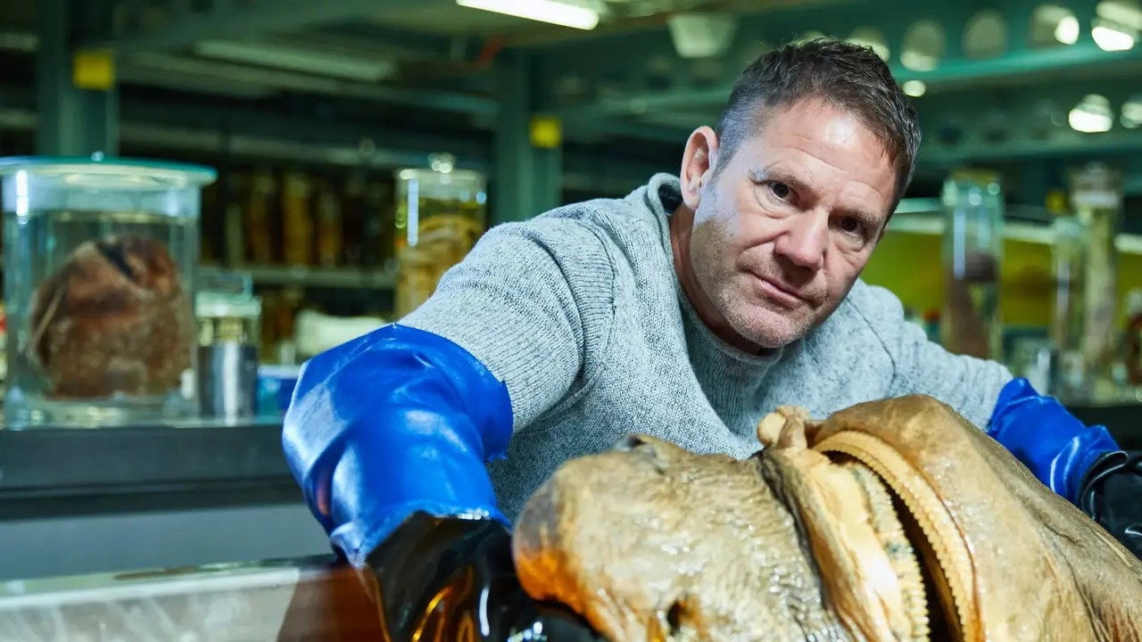 Shark with Steve Backshall