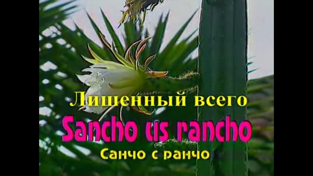 Sancho From the Ranch