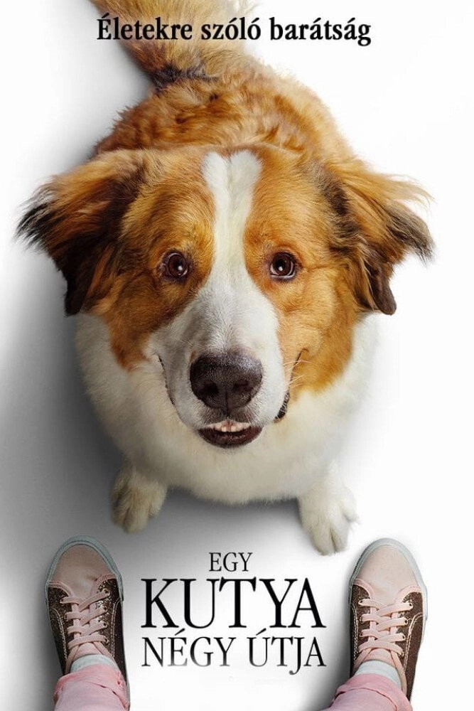 A Dog's Journey