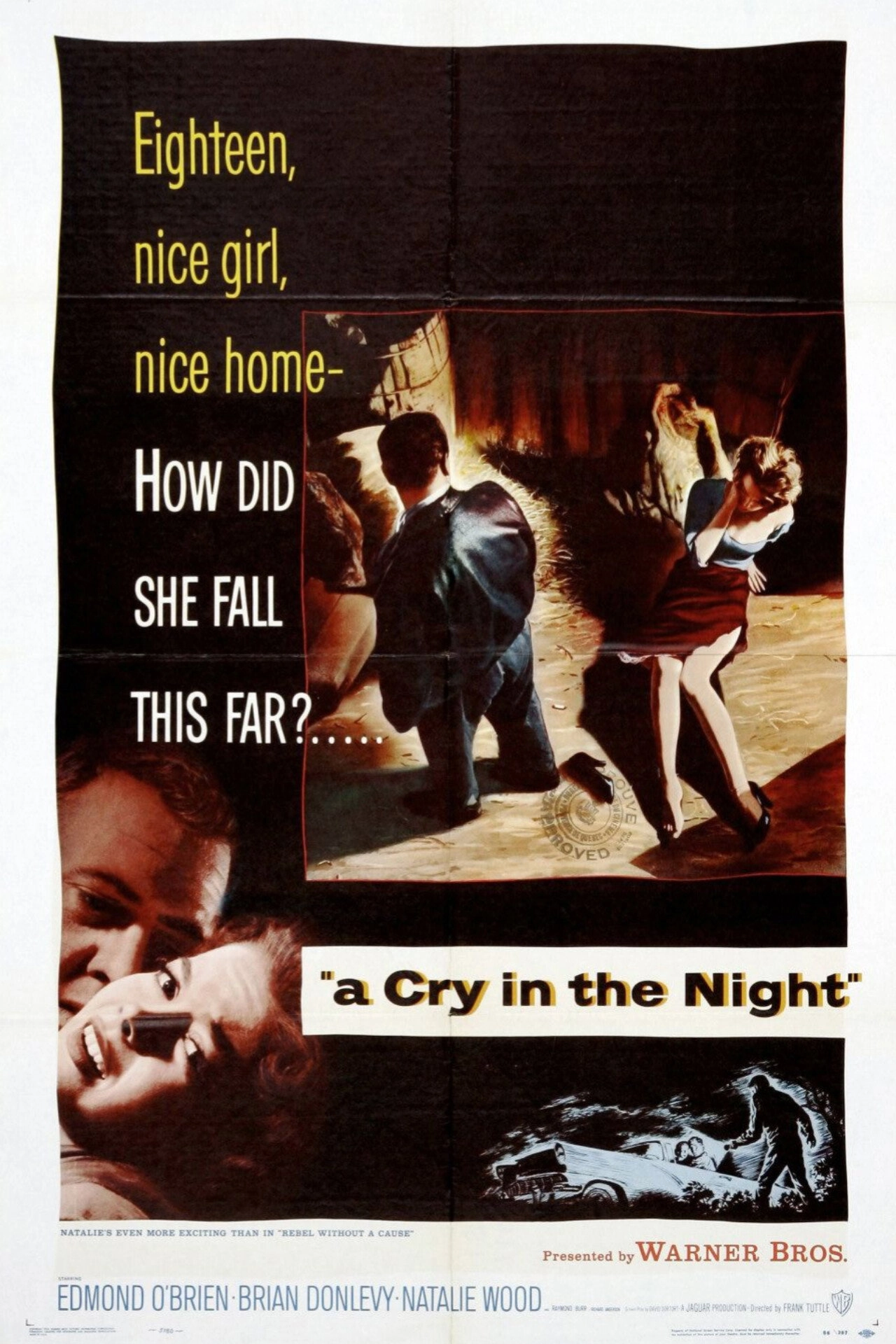 A Cry in the Night