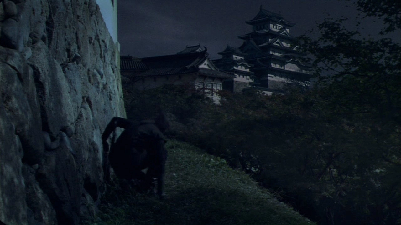 Owls' Castle