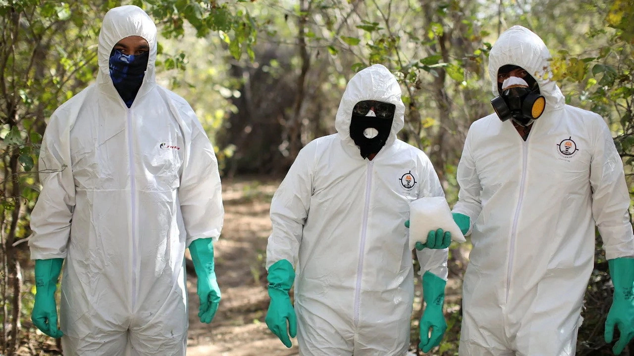 Narco Wars