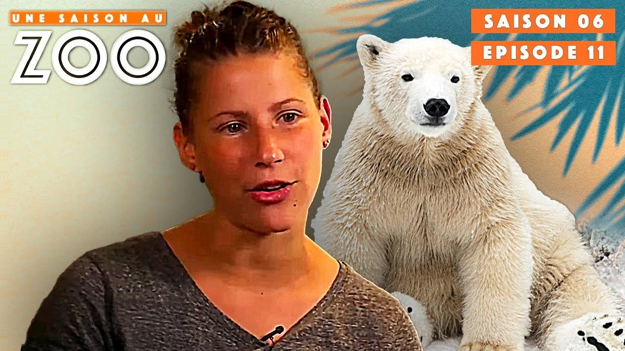 Une saison au zoo