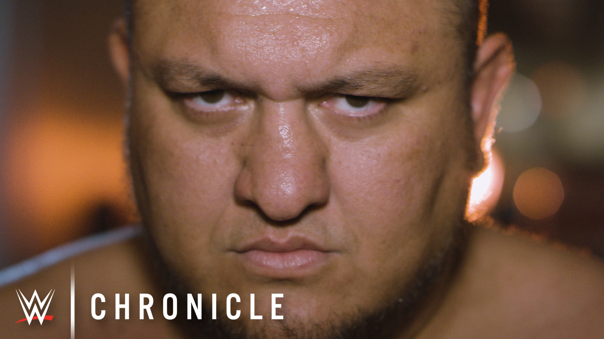 WWE Chronicle