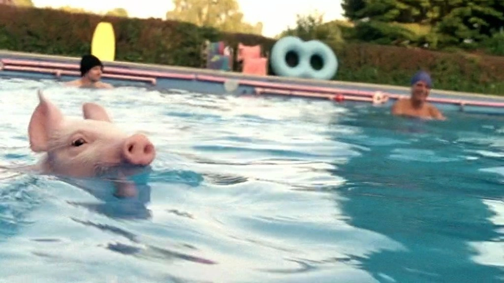 Rennschwein Rudi Rüssel