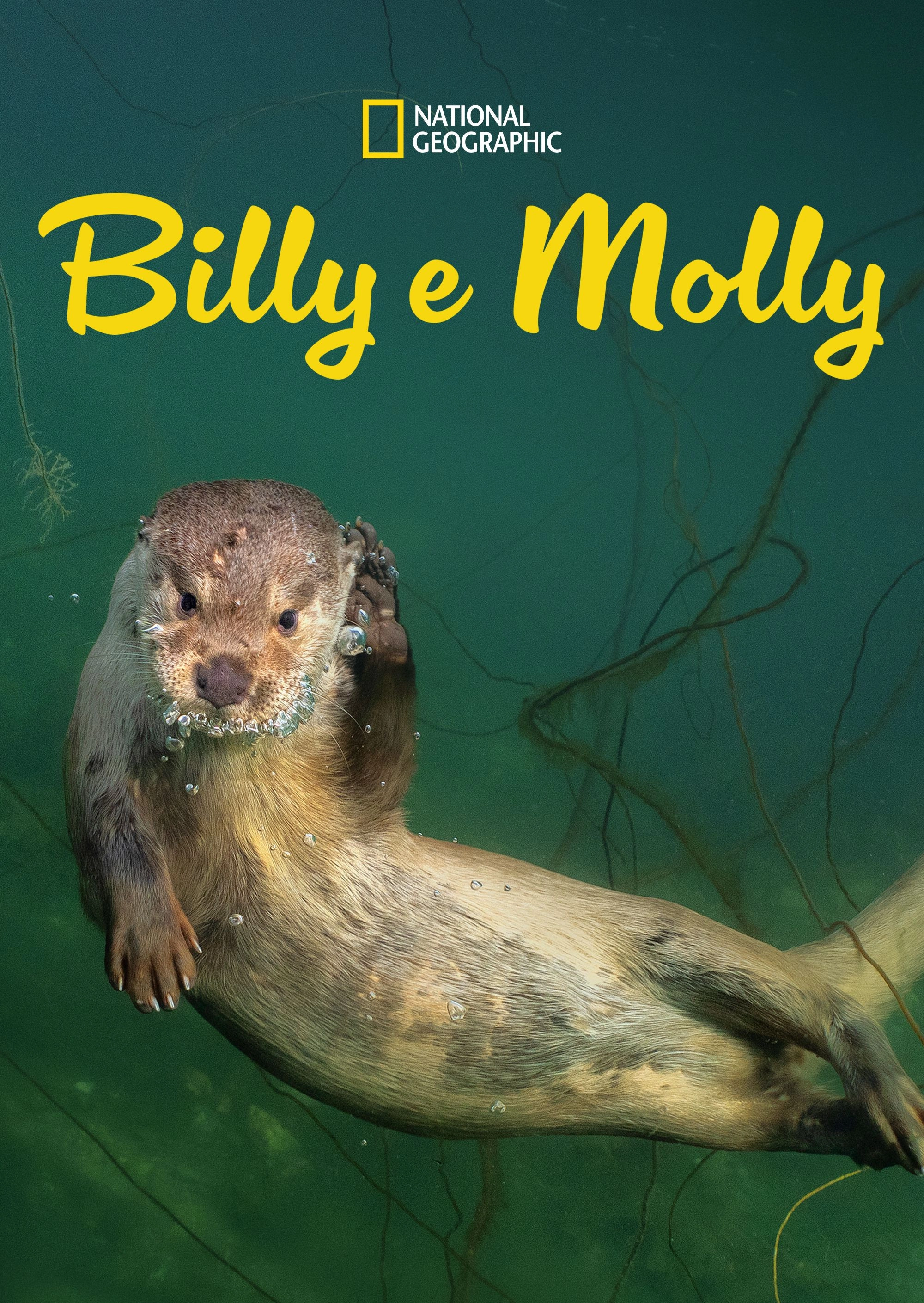 Billy & Molly: An Otter Love Story