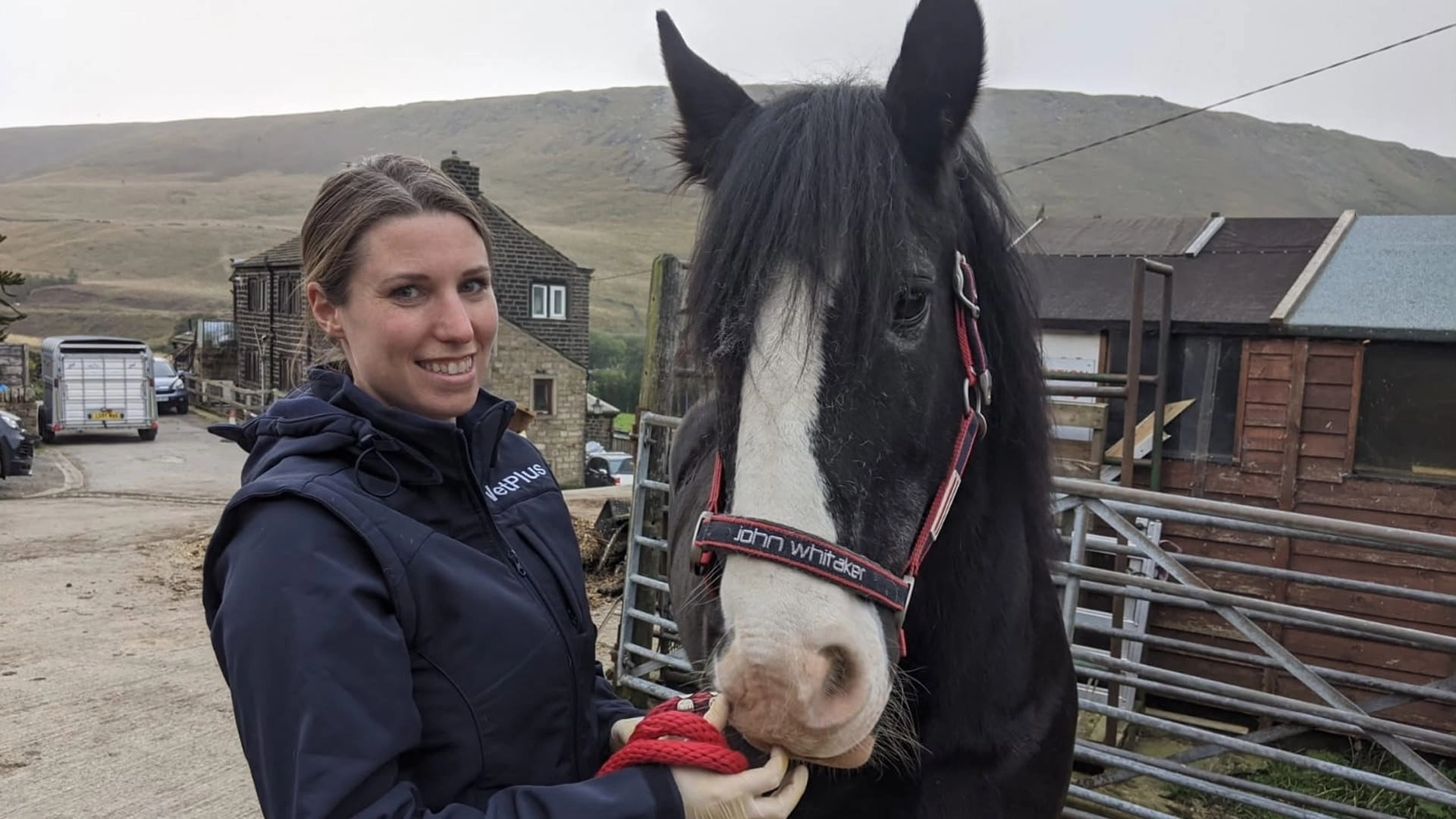 The Yorkshire Vet