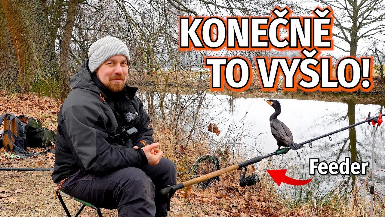 Rybománie