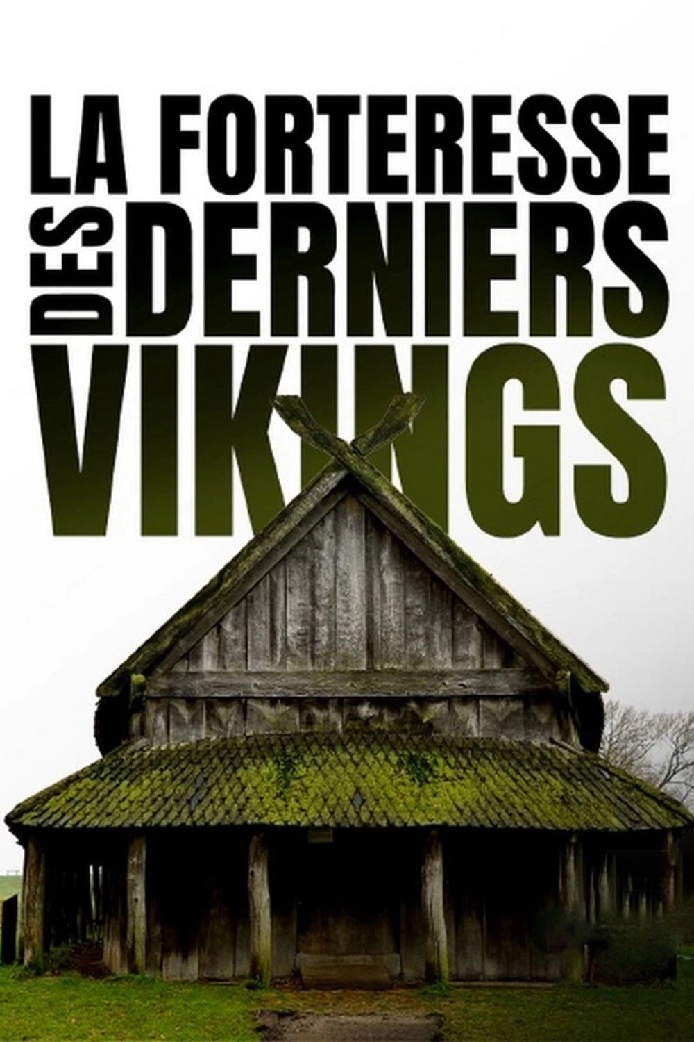 Viking City of the Dead