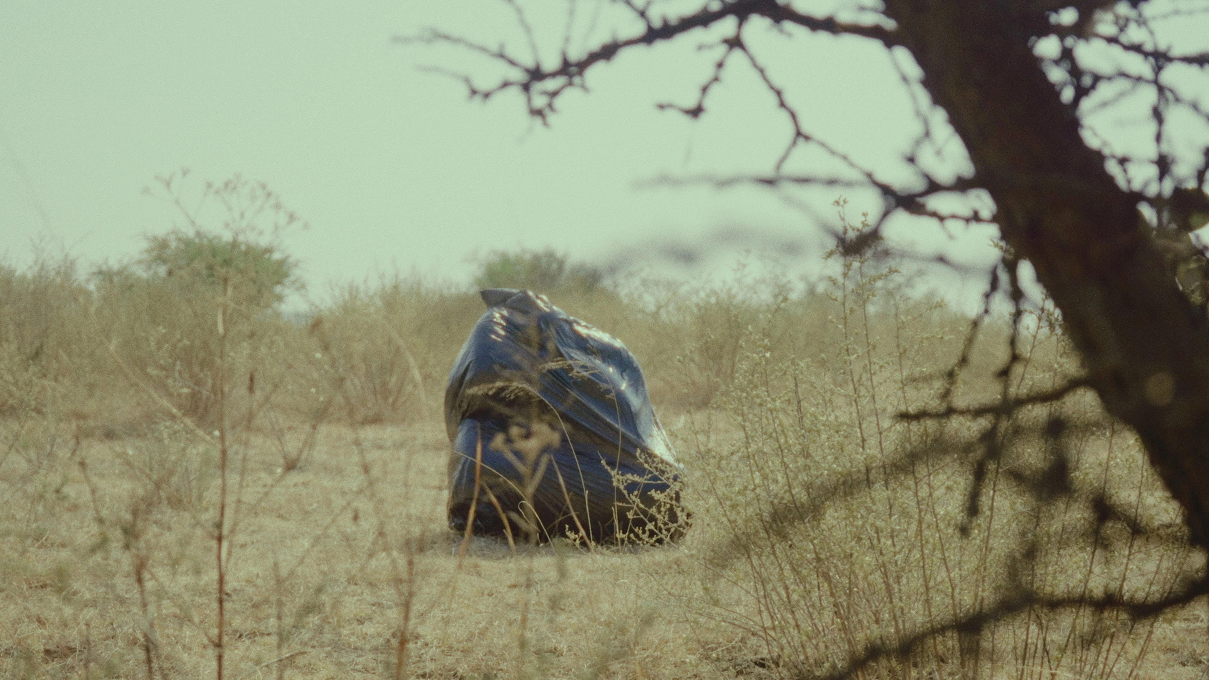 A Garbage Bag Story