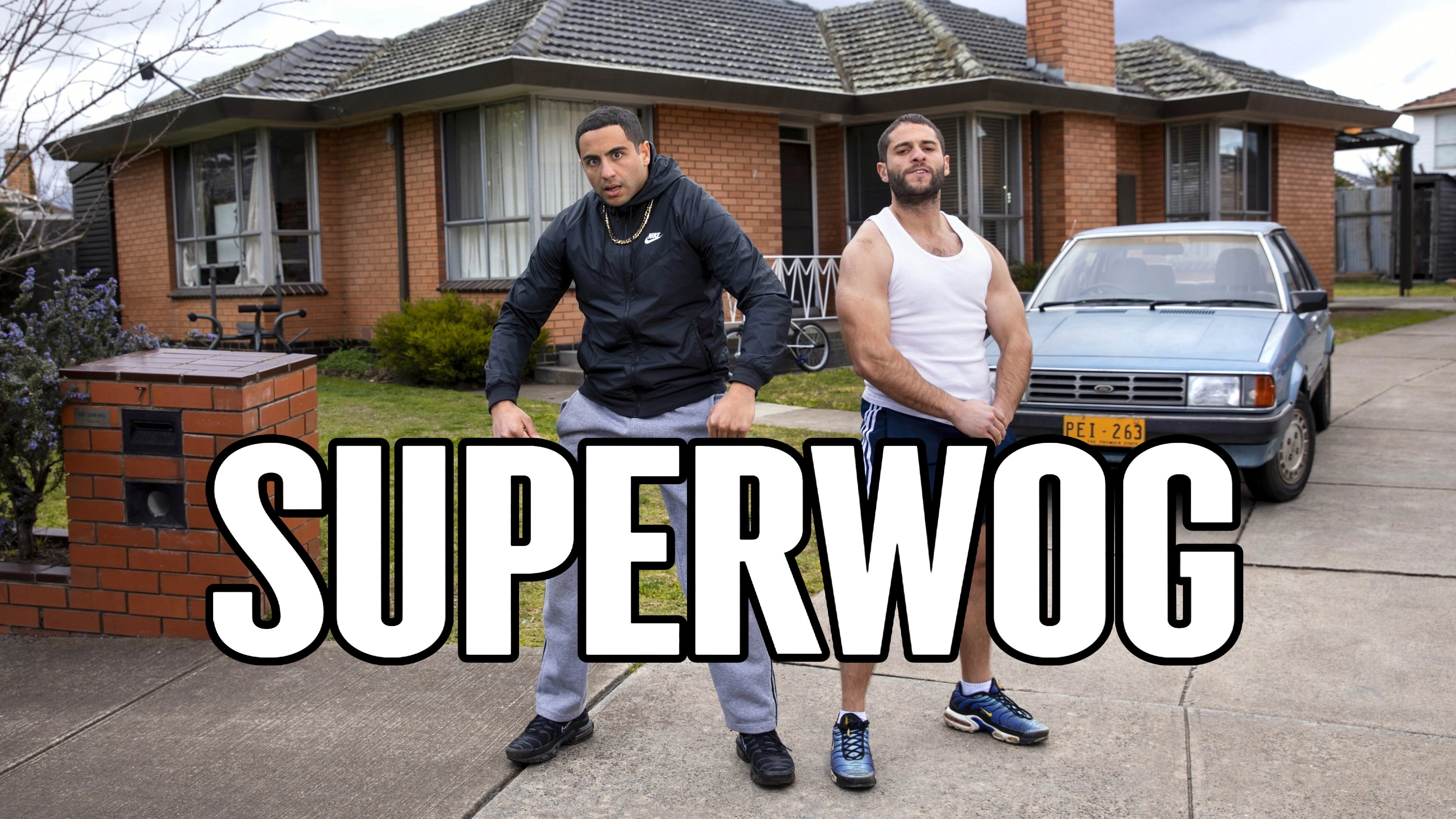 Superwog