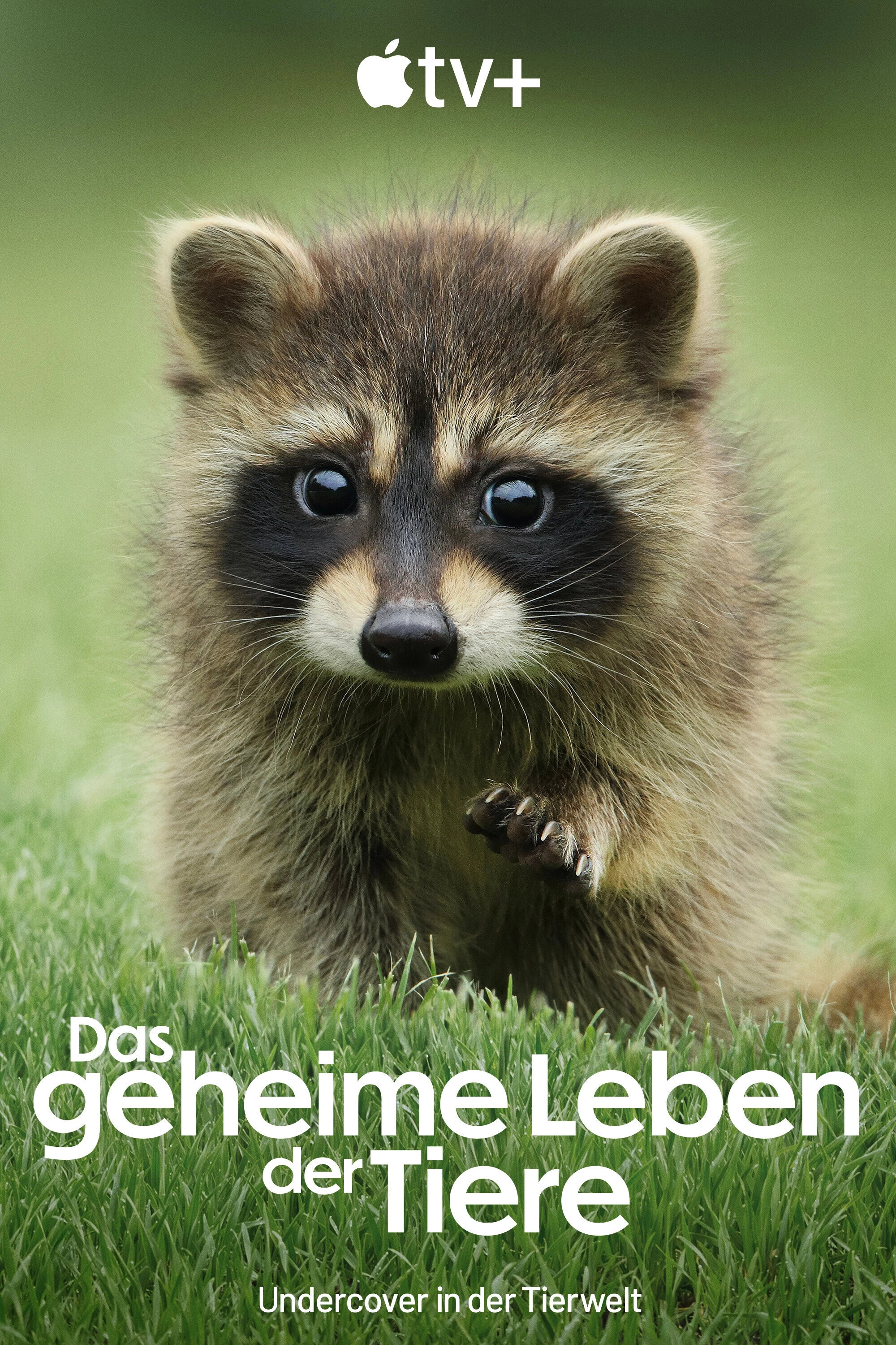 The Secret Lives of Animals