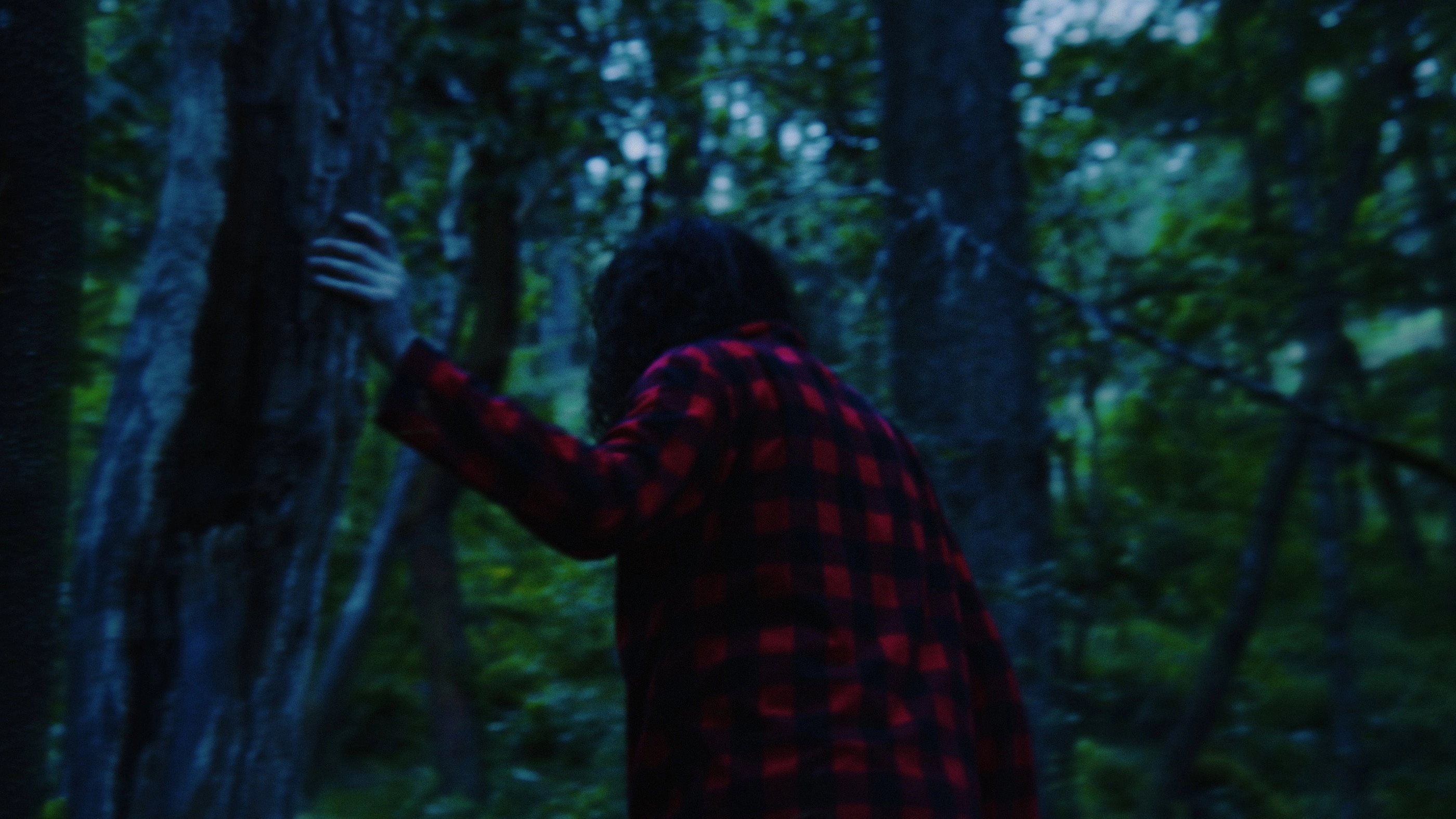 Sleepwalker