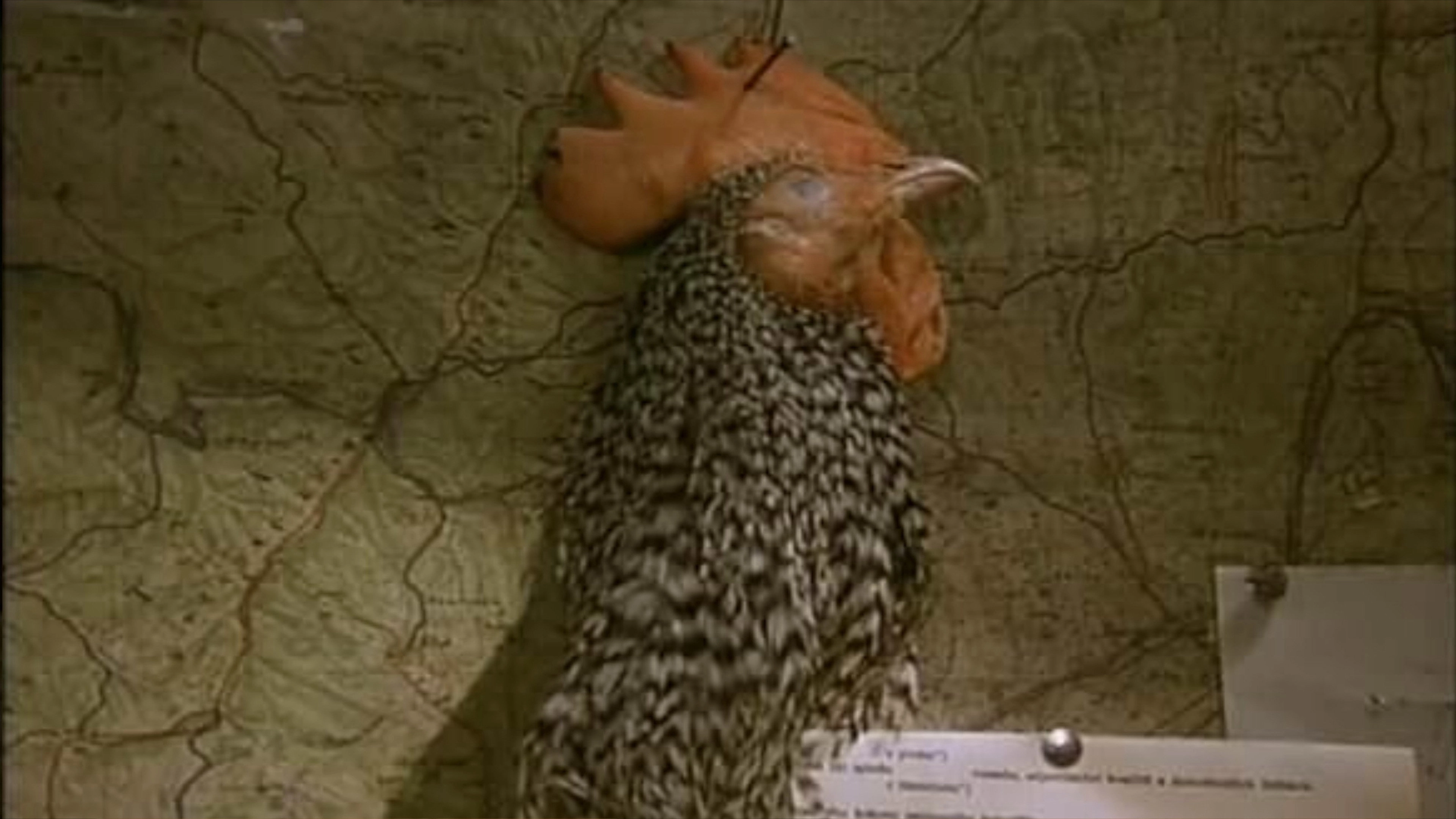 Birdemic : London Terror