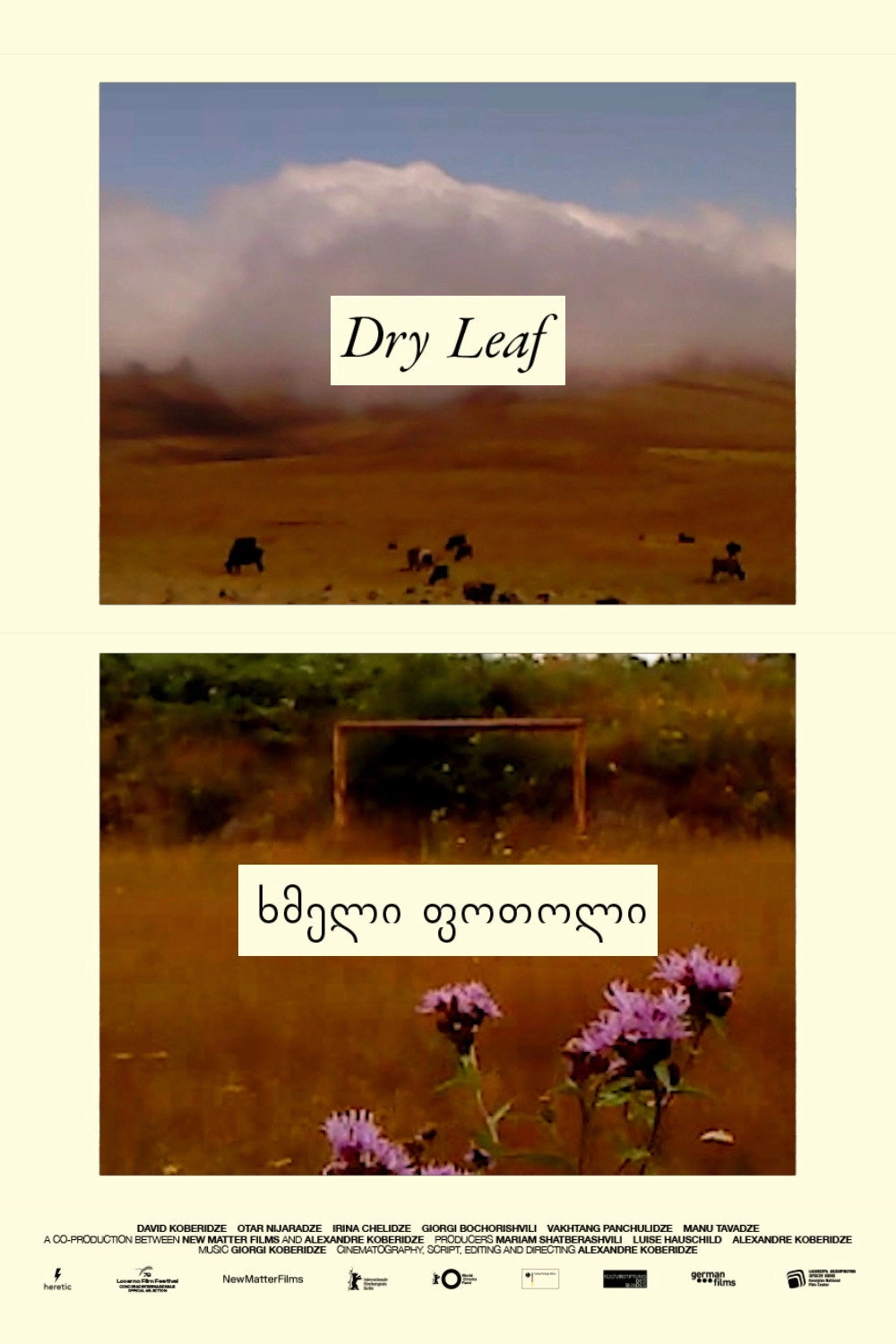 Dry Leaf