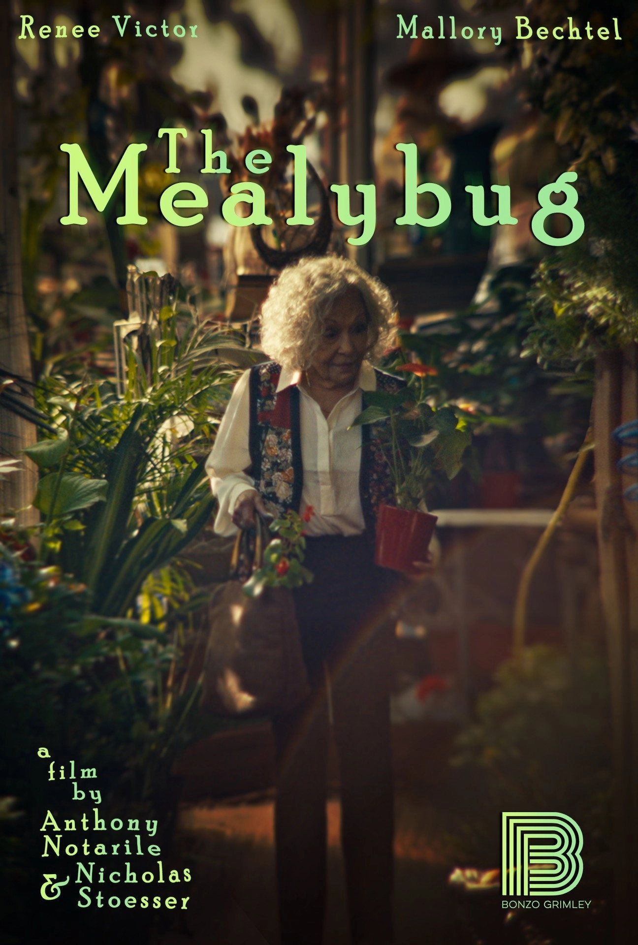 The Mealybug