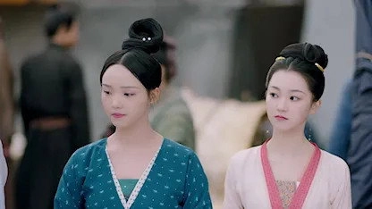 Qing Qing Zi Jin