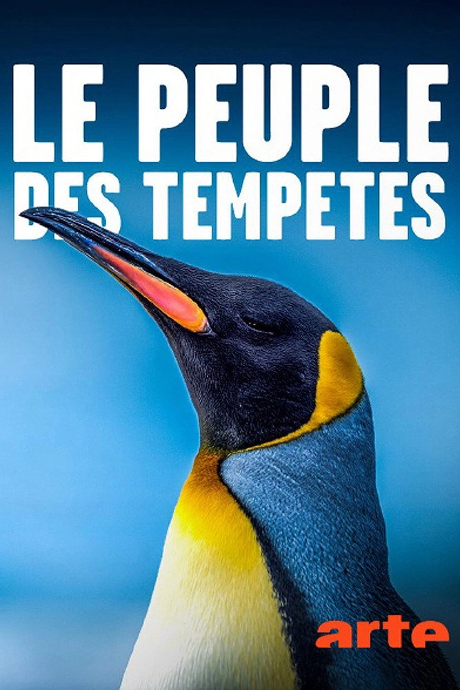 Animals of the Tempest
