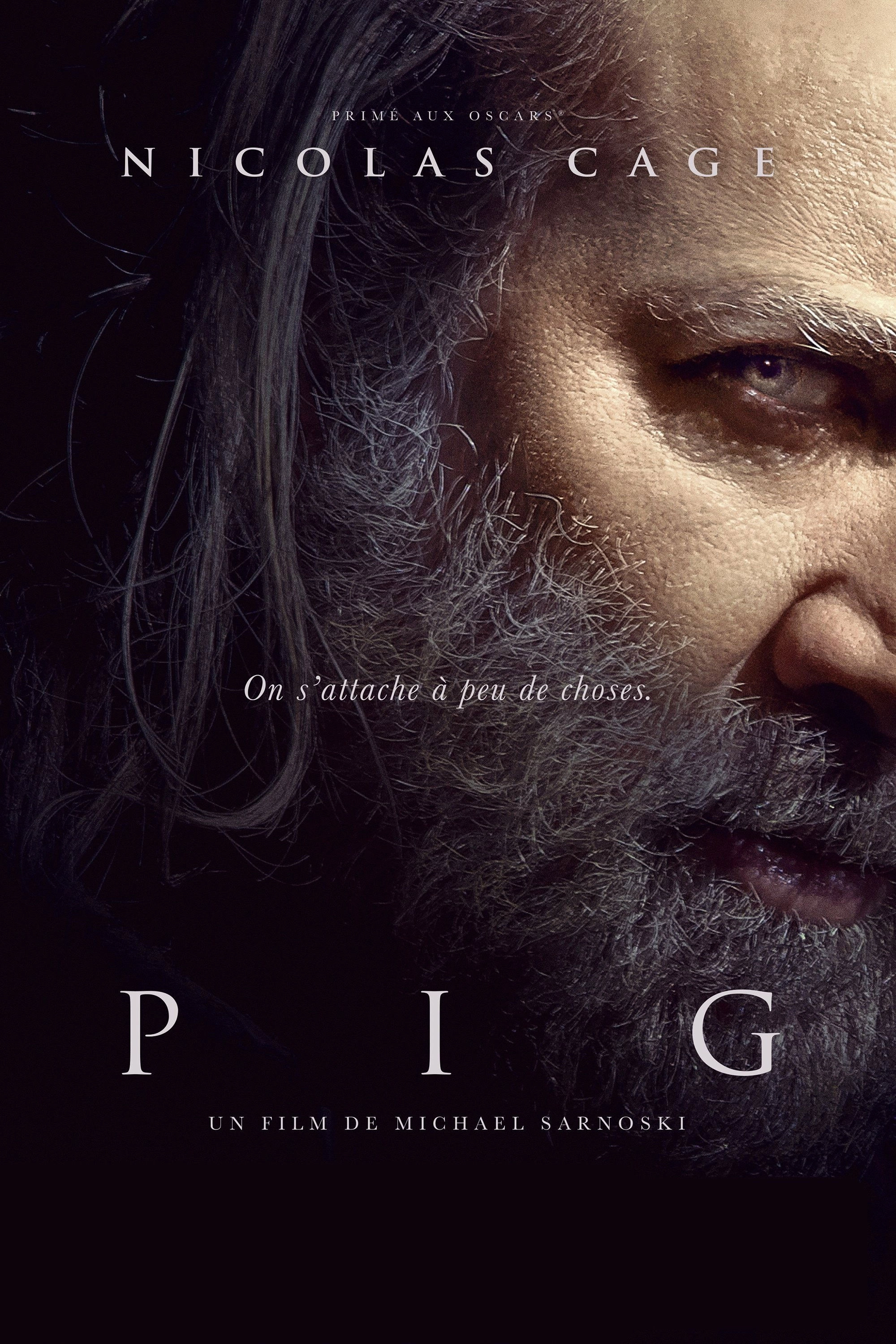 Pig