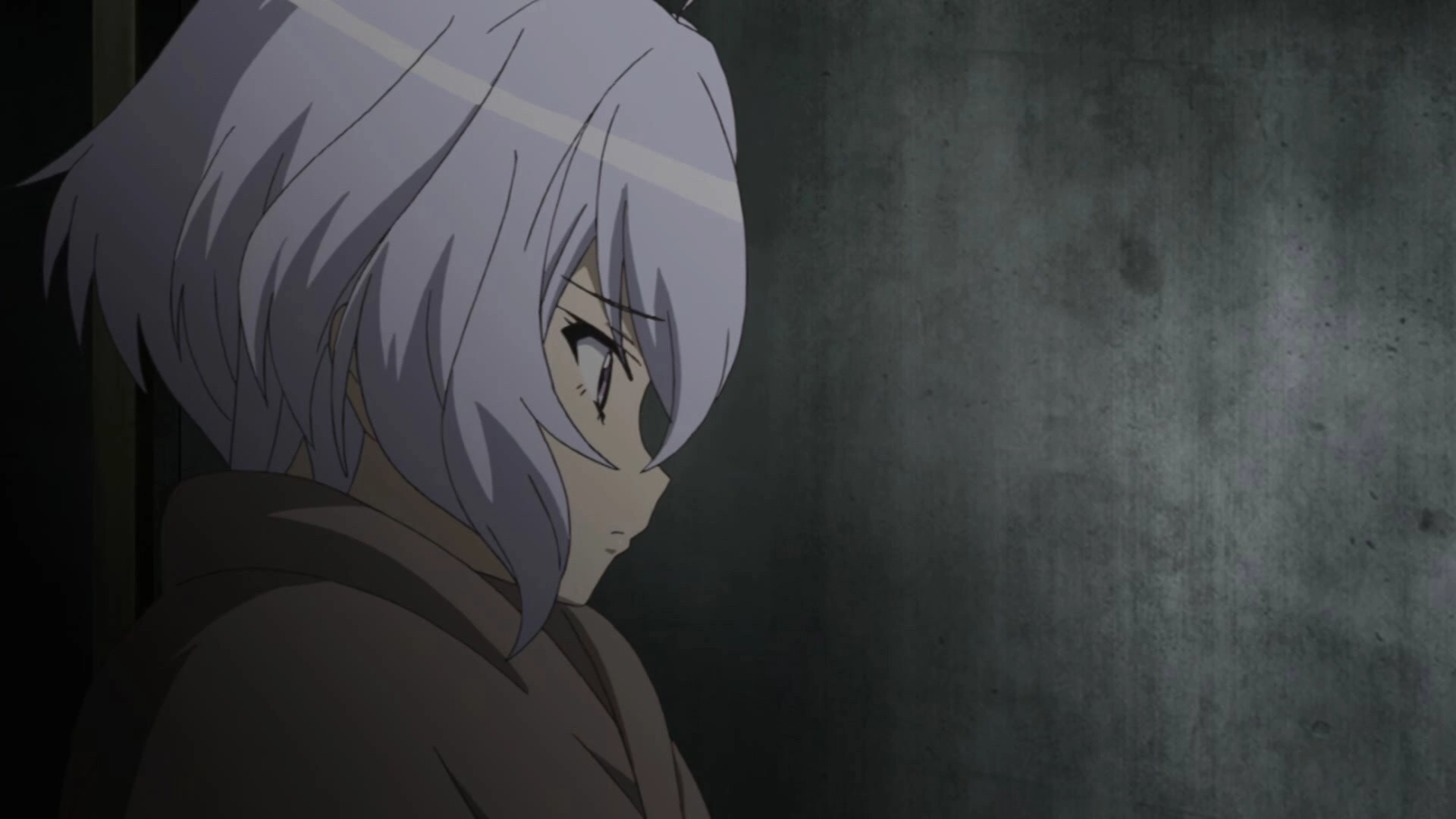Superb Song of the Valkyries: Symphogear