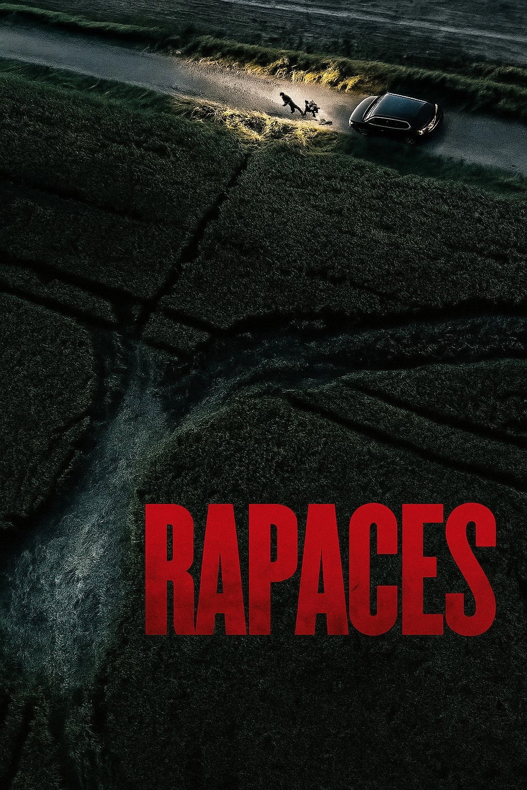 Vultures