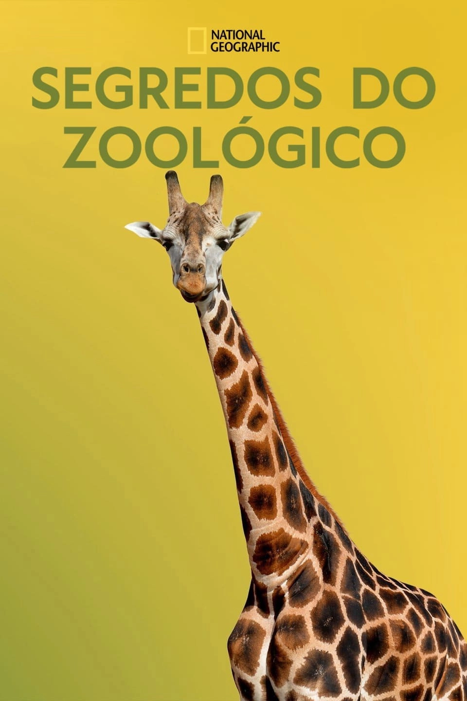 Secrets of the Zoo